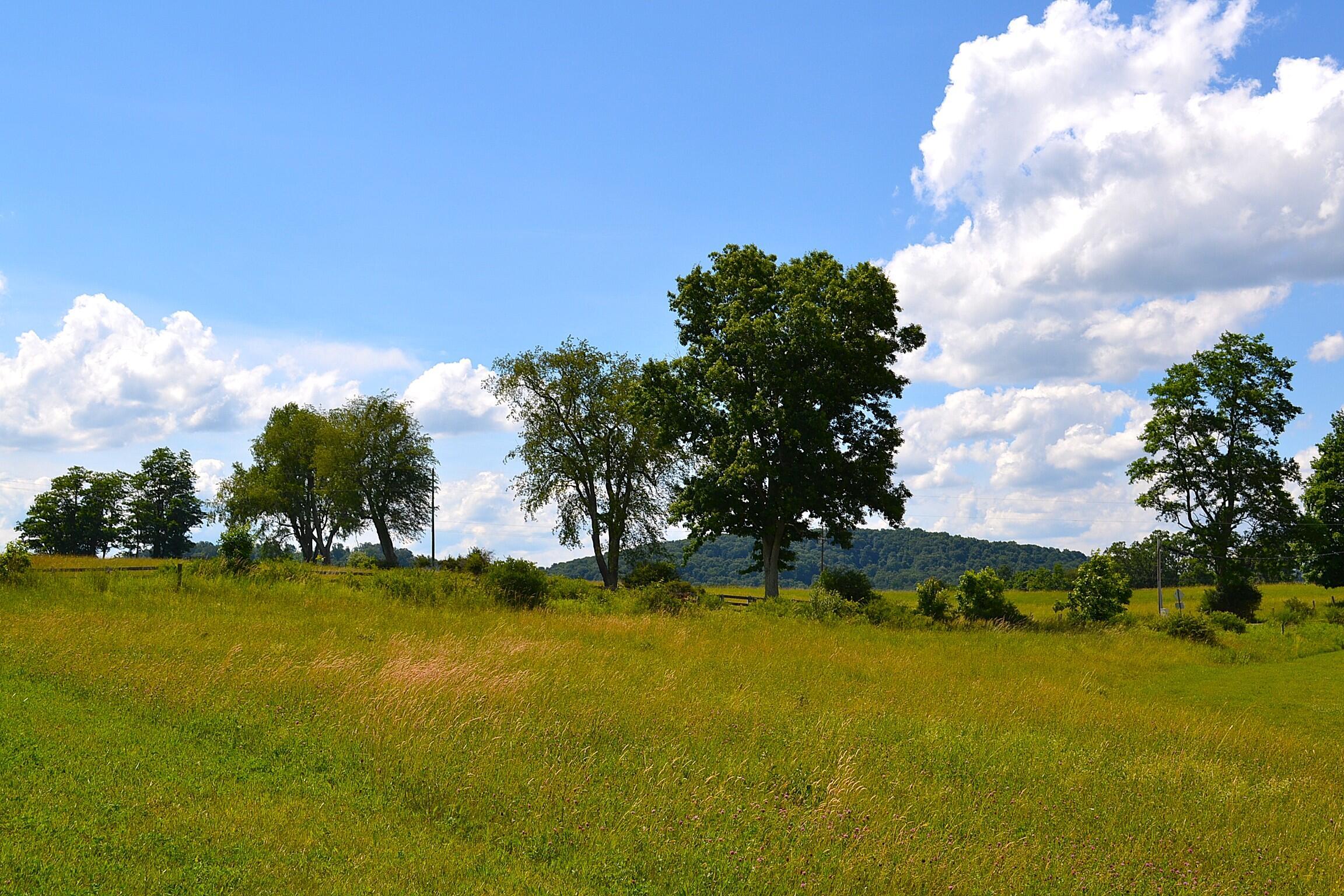 Image 4: Land View