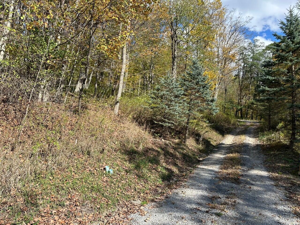 Image 3: lot 5 from road