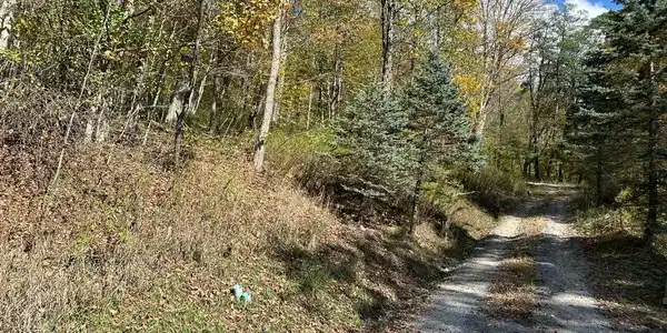 Image 3: lot 5 from road