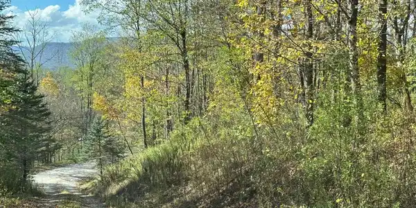 Image 4: shared driveway