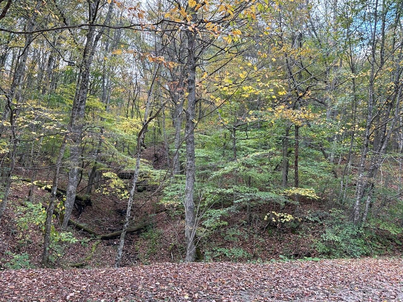Image 2: 3.71-1