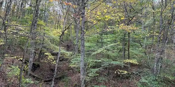 Image 2: 3.71-1