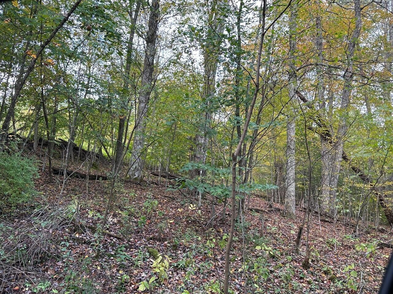 Image 3: 3.71-2
