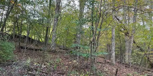 Image 3: 3.71-2