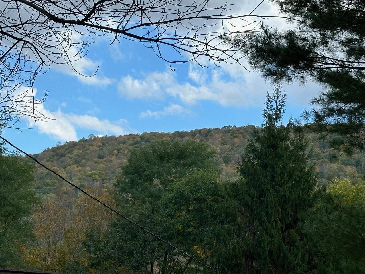 Image 4: 3.71-3