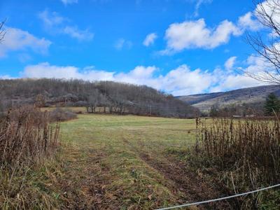 Cass Rd. Tract 4 Big Spring Elk