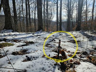 Lot 71 North Woods Circle
