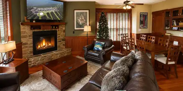 Image 2: gas fireplace