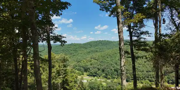 Image 4: Views