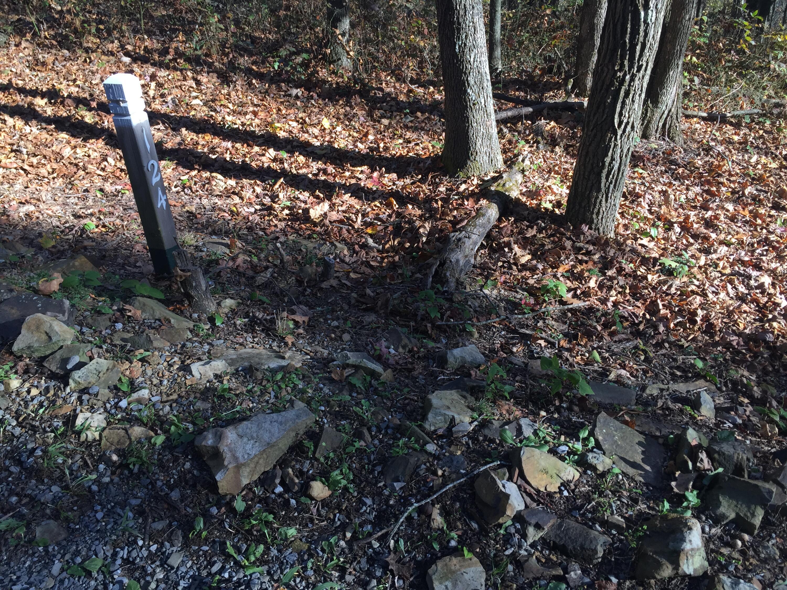 Image 4: IMG_0069