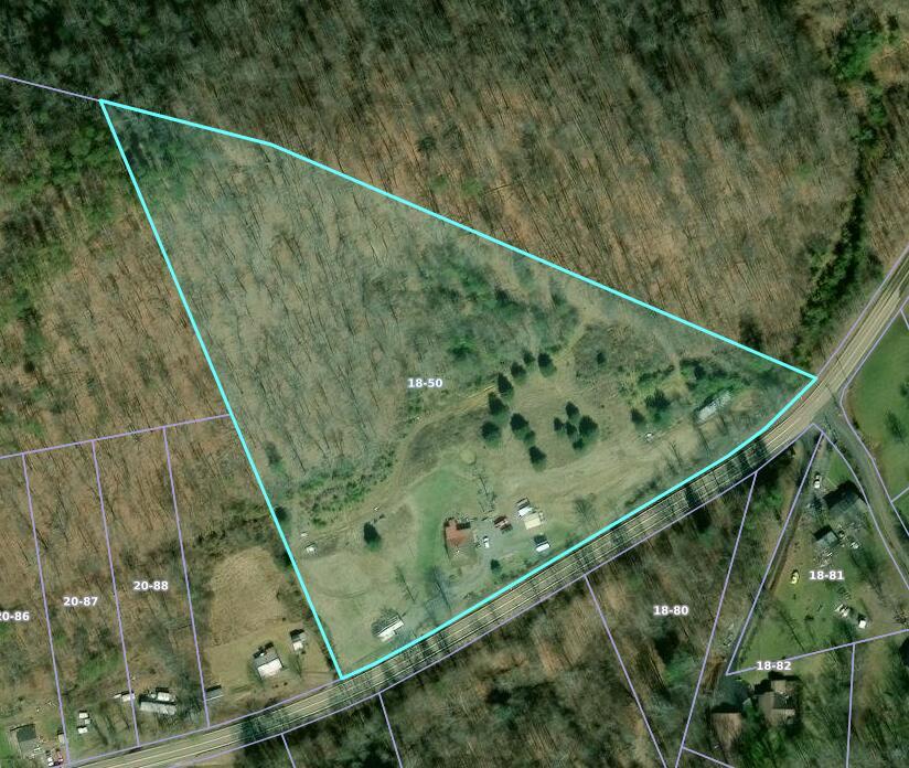 Image 4: Screenshot (225)