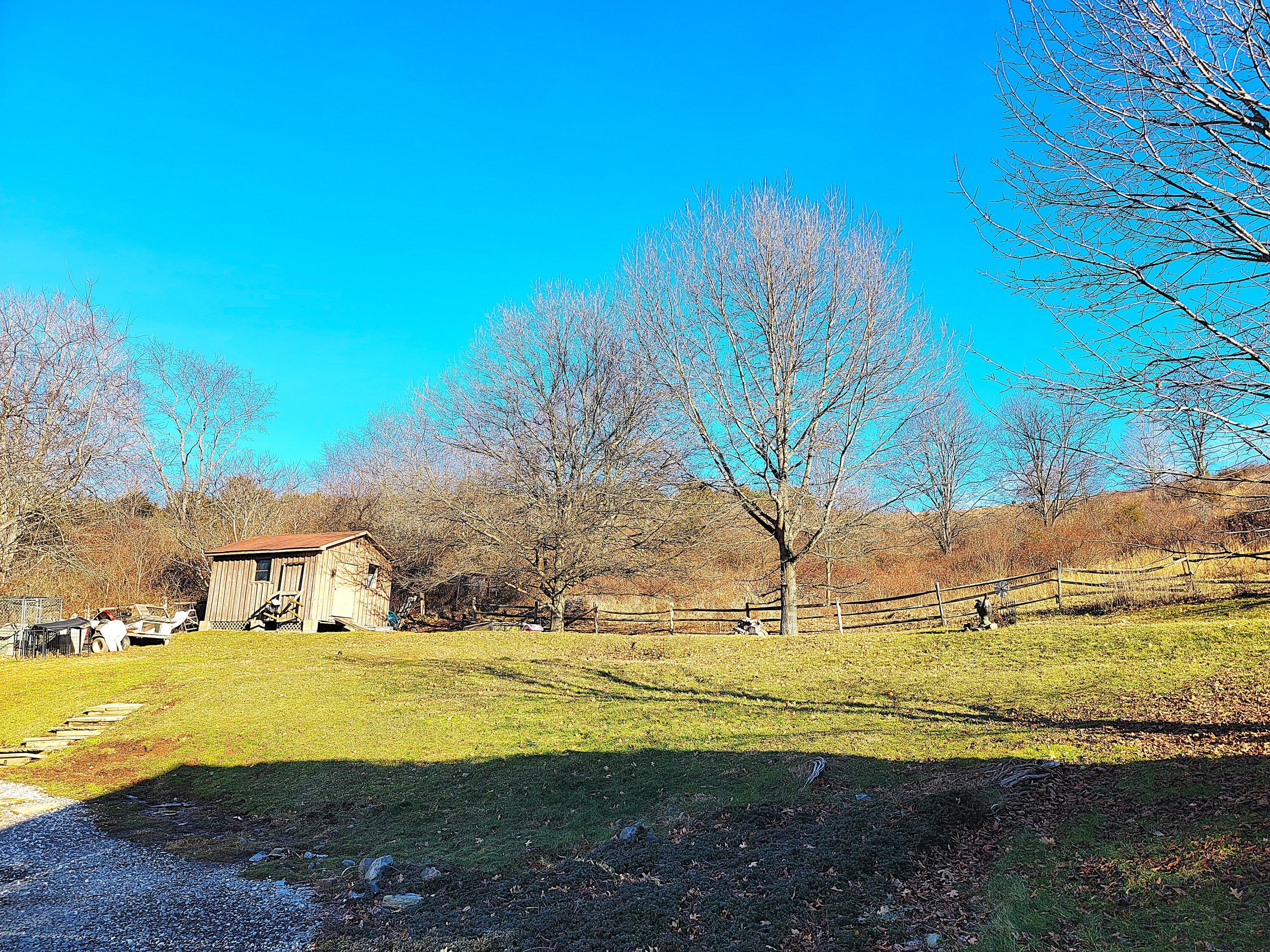 Image 4: Back Yard View