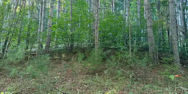 Image 2: Property