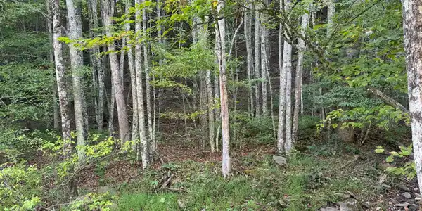 Image 4: Property