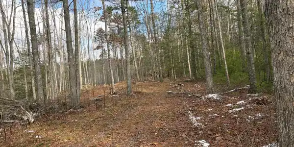 Rt 20 Pipestem Falls