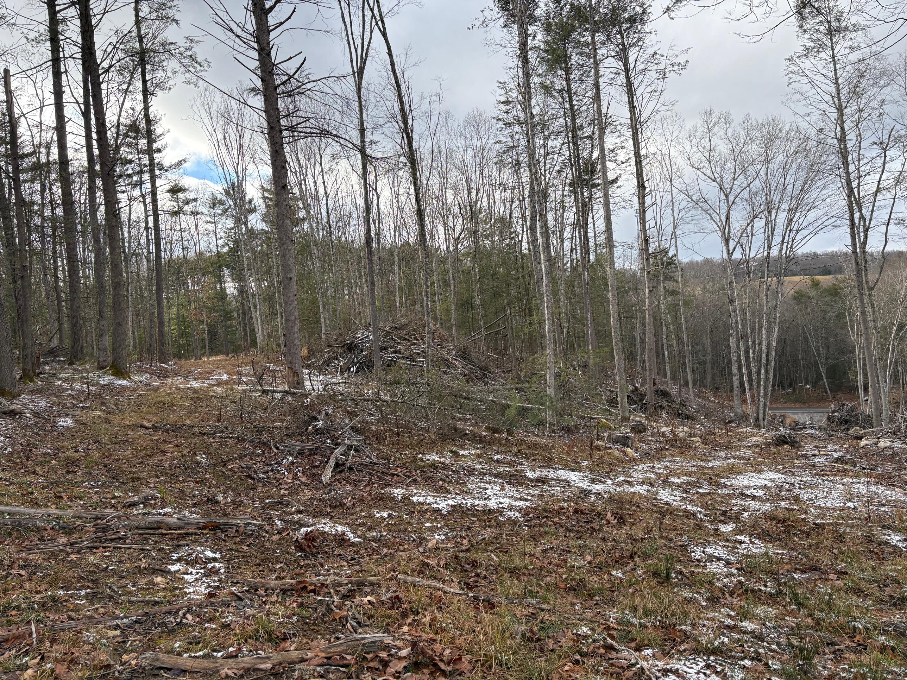 Image 4: IMG_4369 (1)