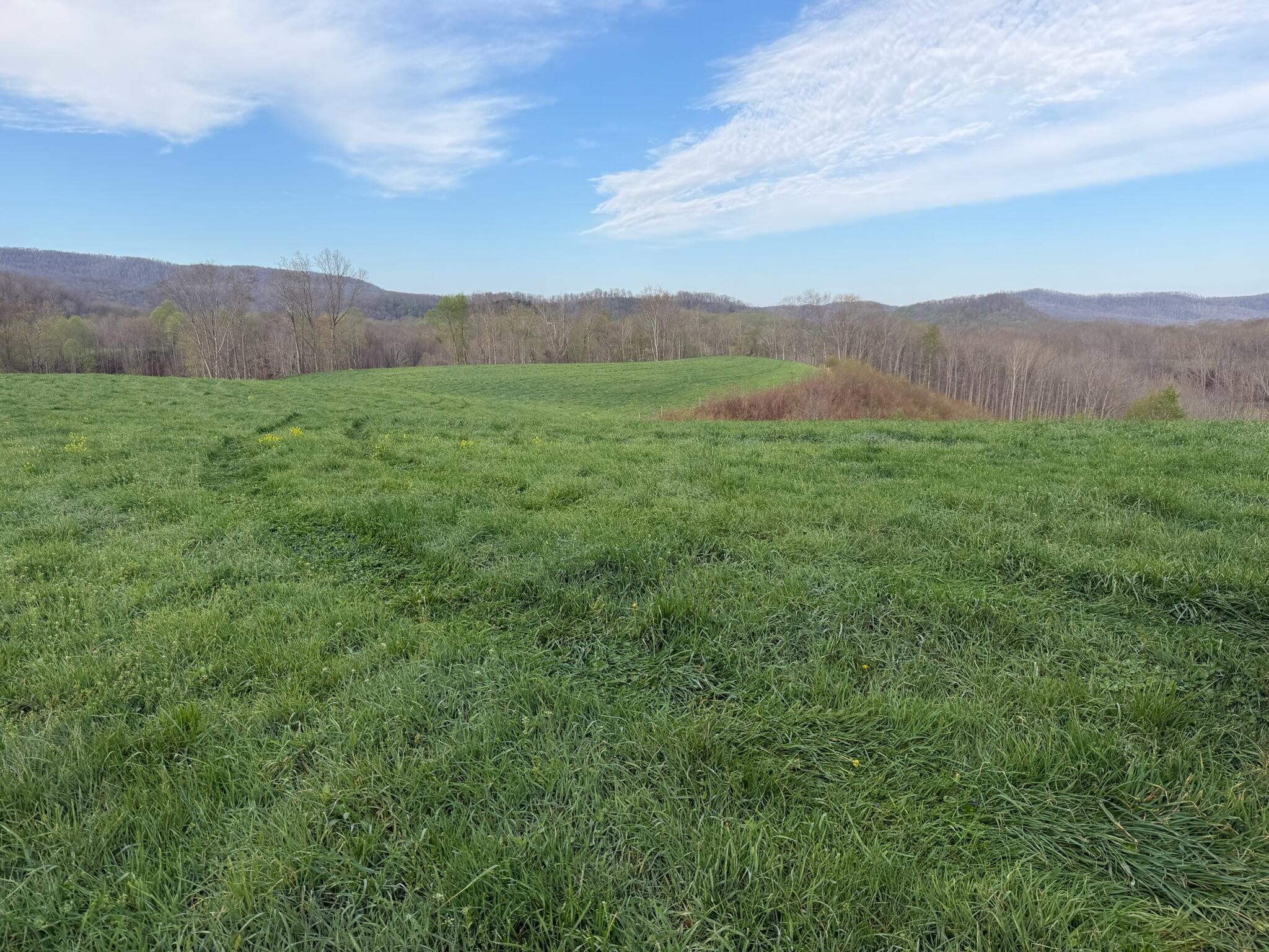 Image 1: Property