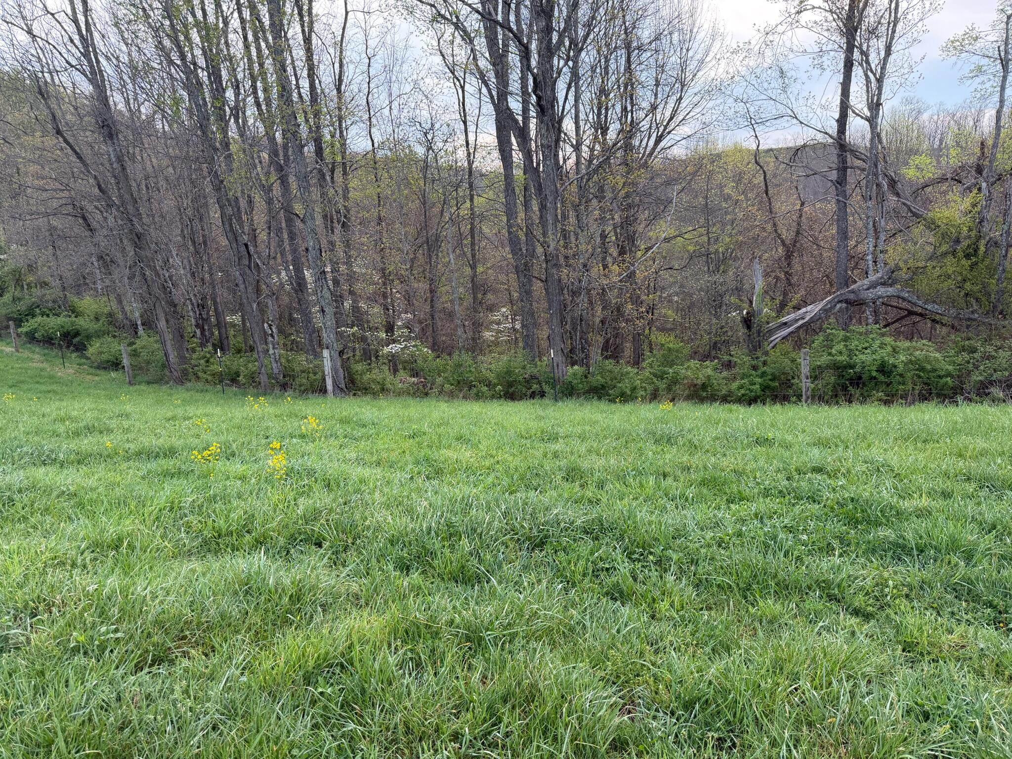 Image 2: Property