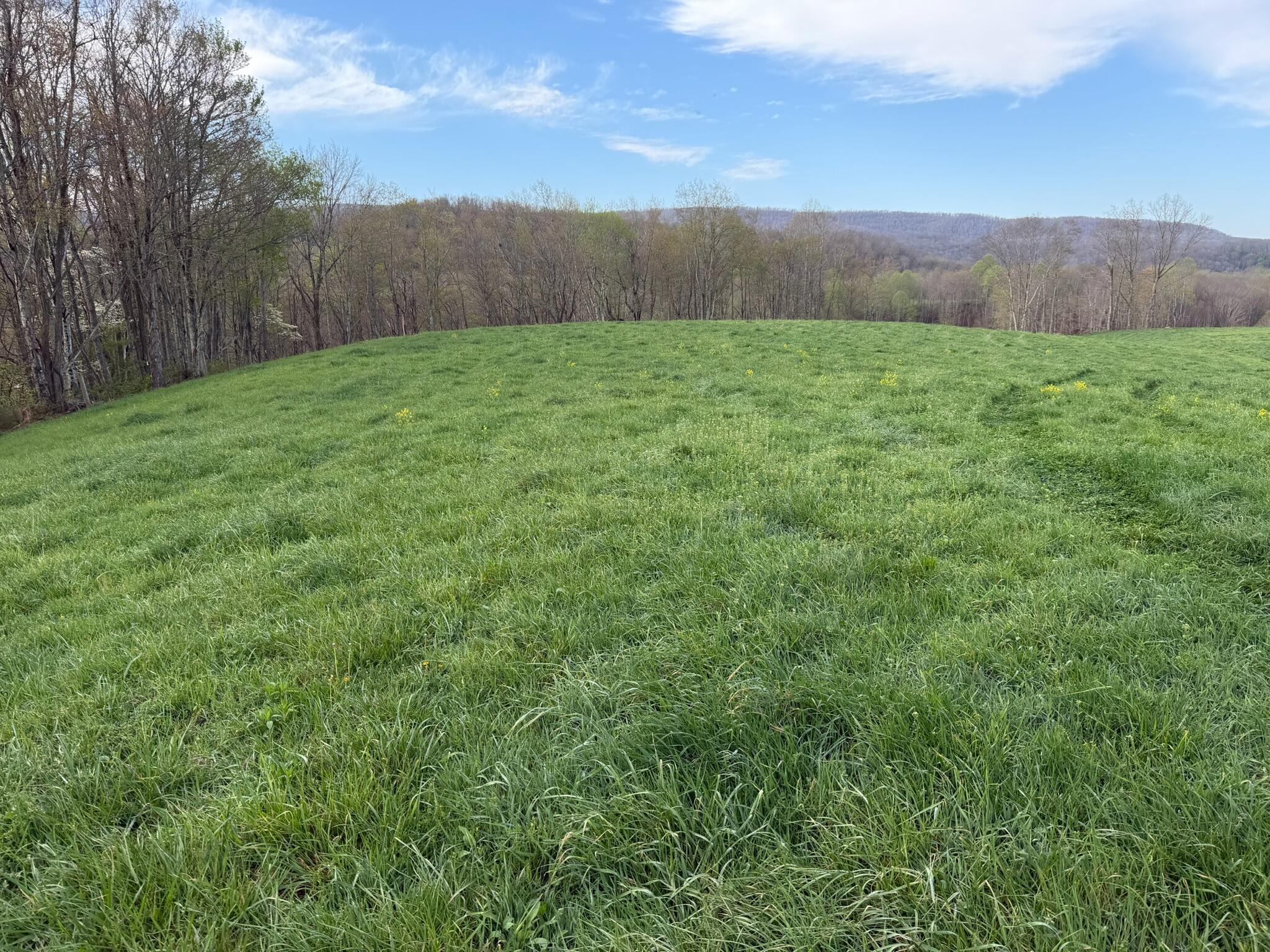 Image 3: Property