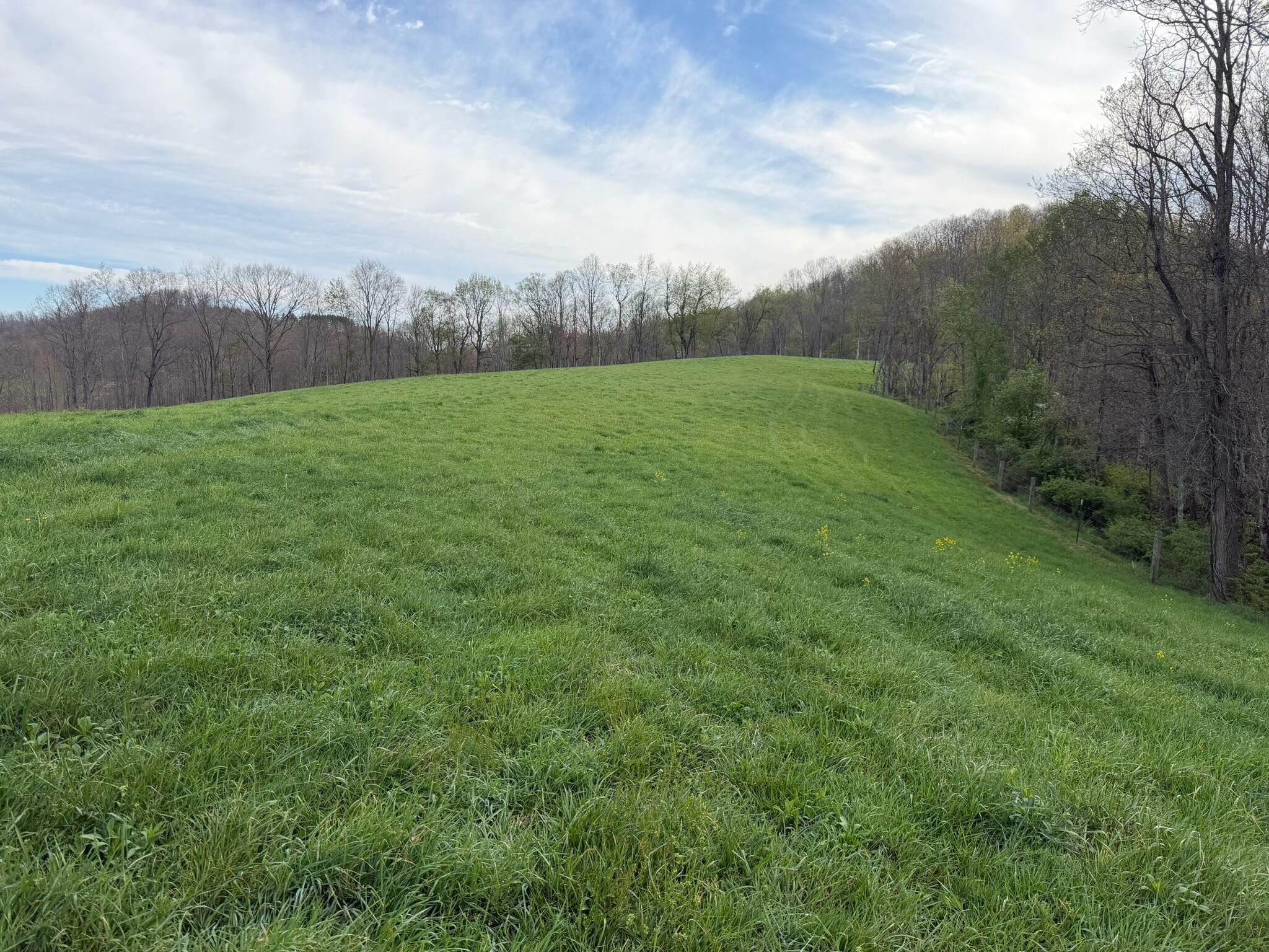Image 4: Property