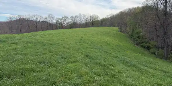 Image 4: Property