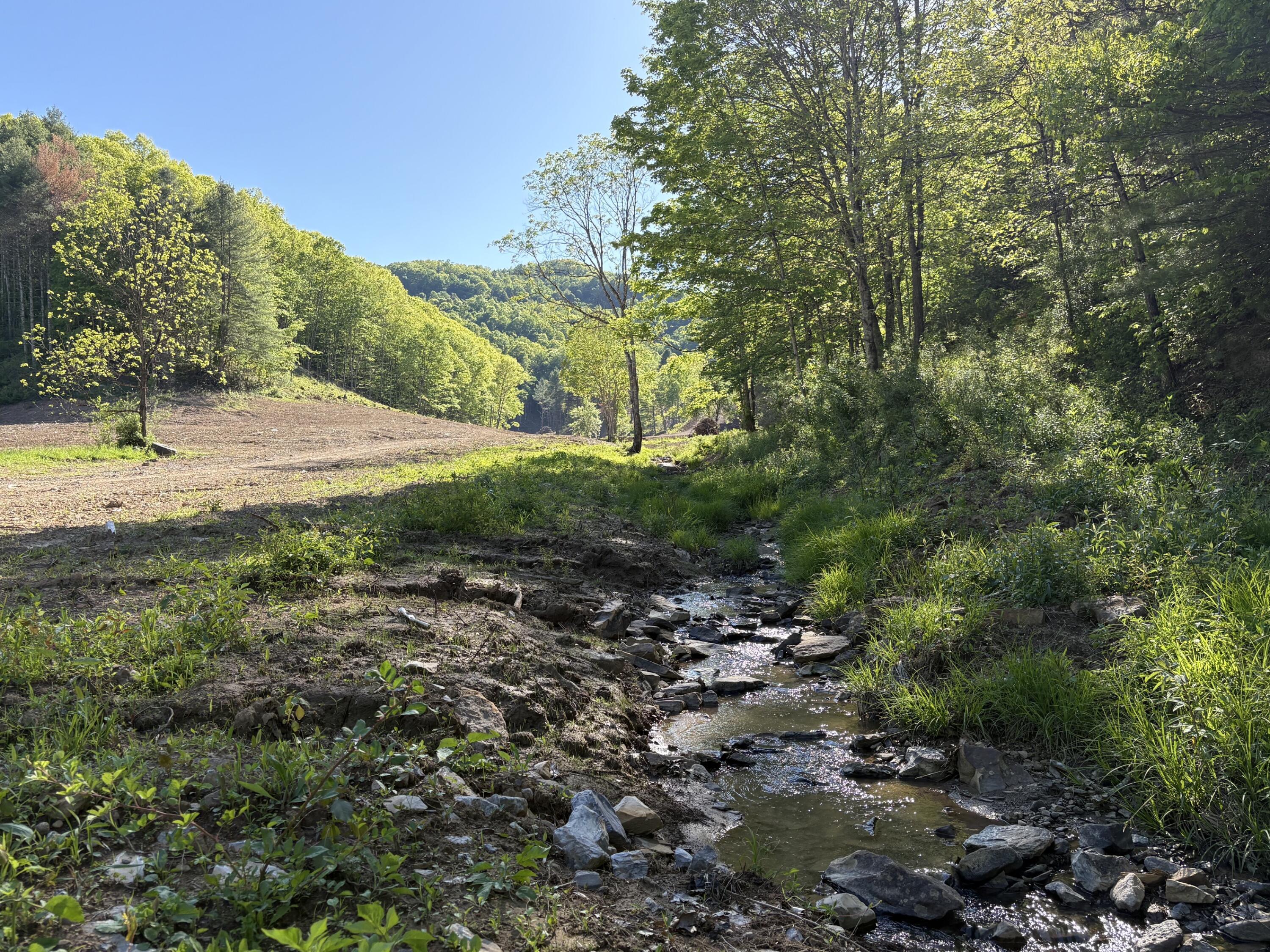 Image 1: IMG_5973