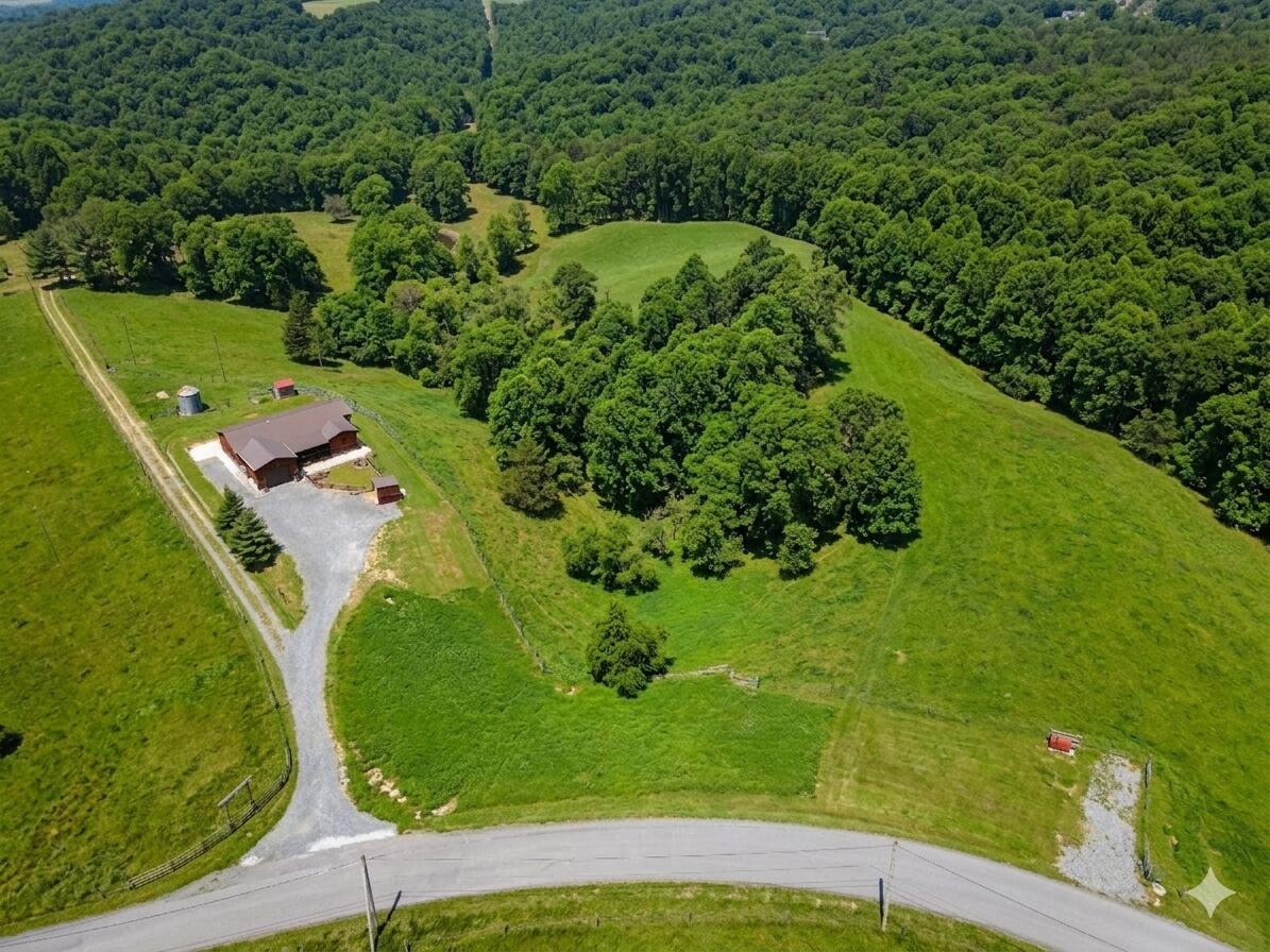 Image 1: Pic 1
