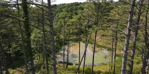 Image 2: DJI_0906