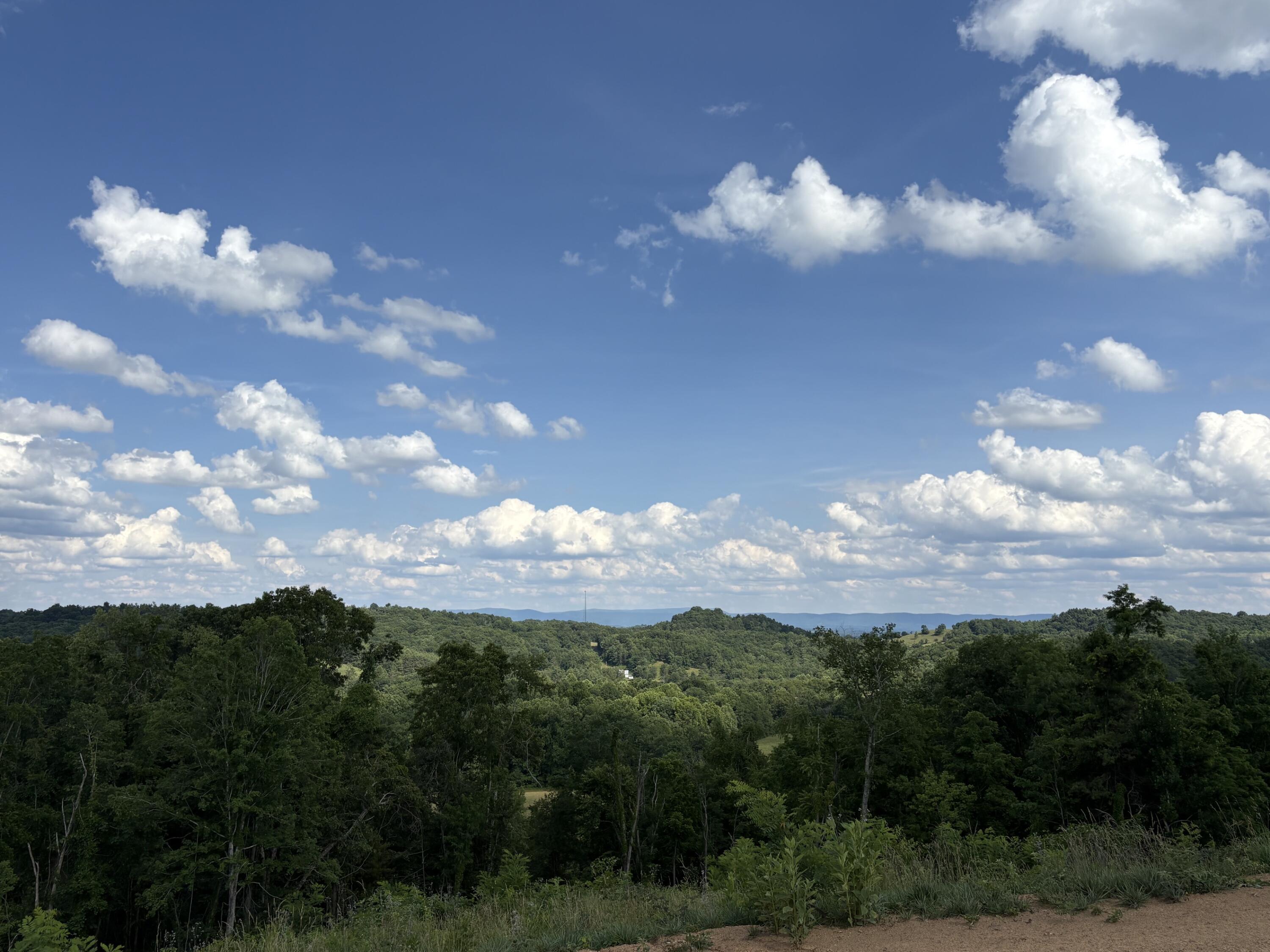 Image 3: IMG_6552