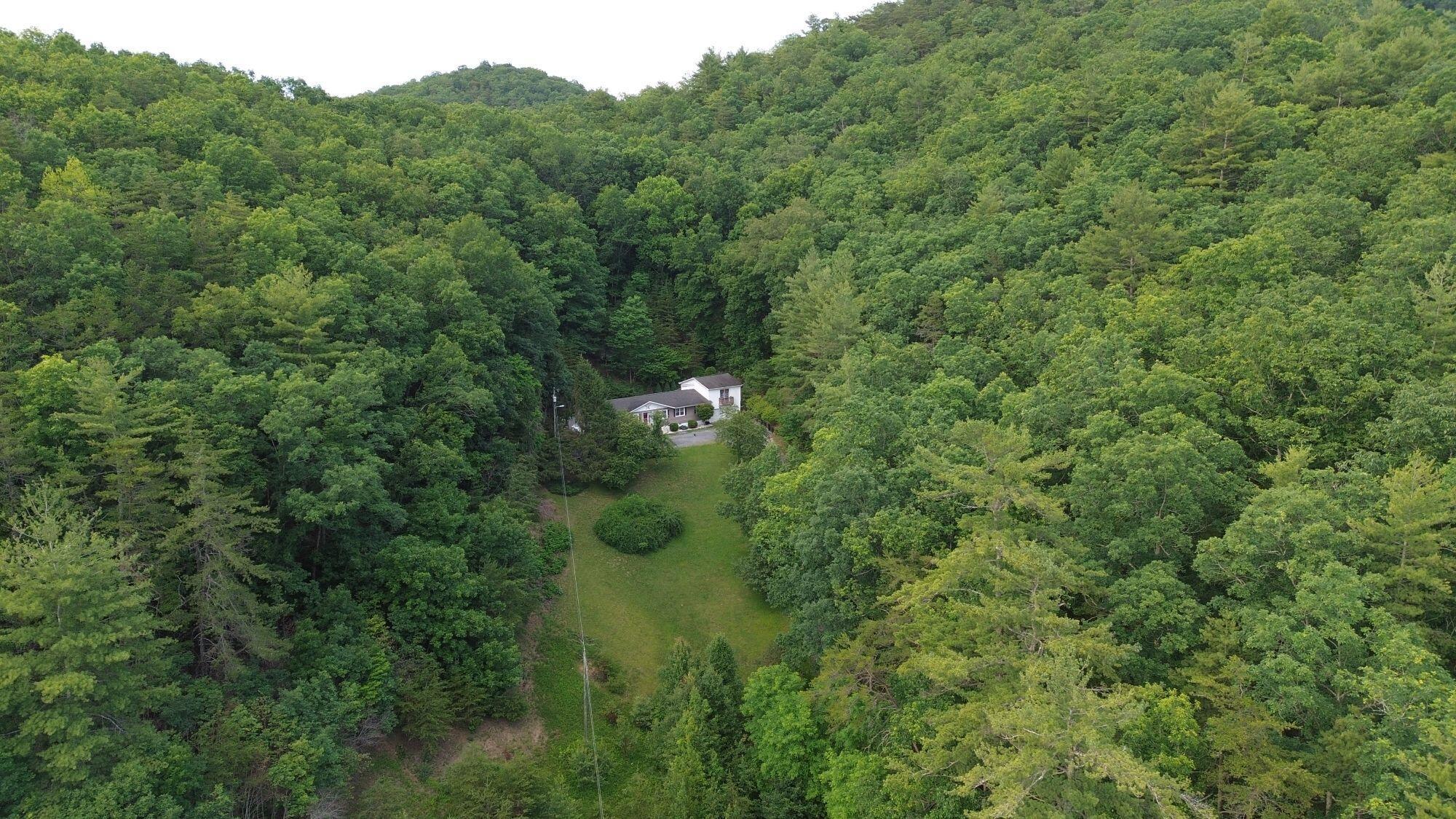 Image 4: image 804394