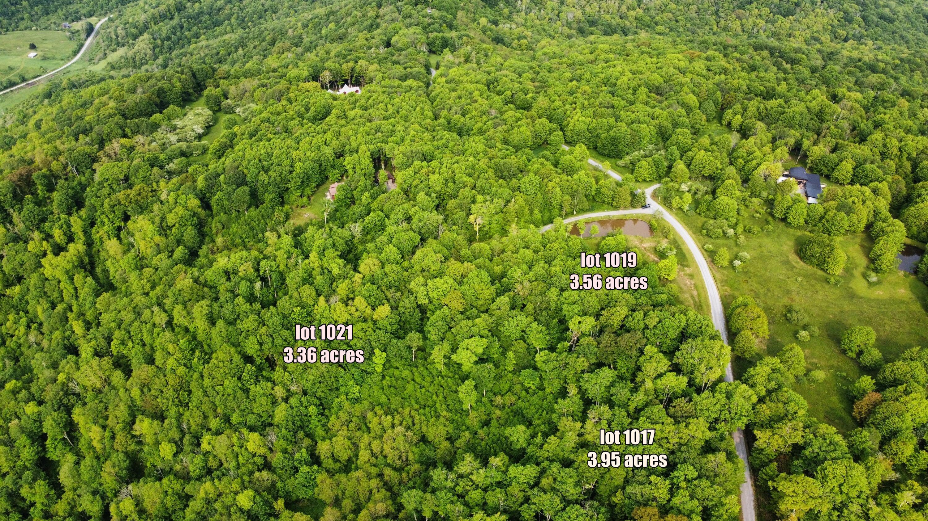 Image 4: labeled 1