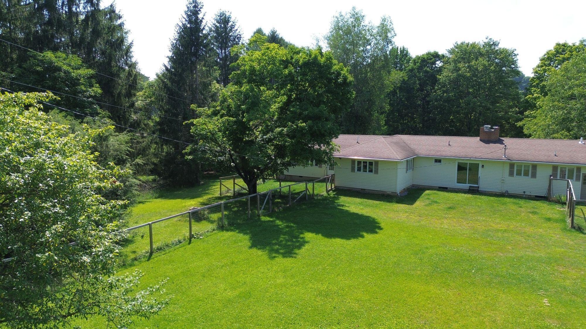 Image 4: image 804971