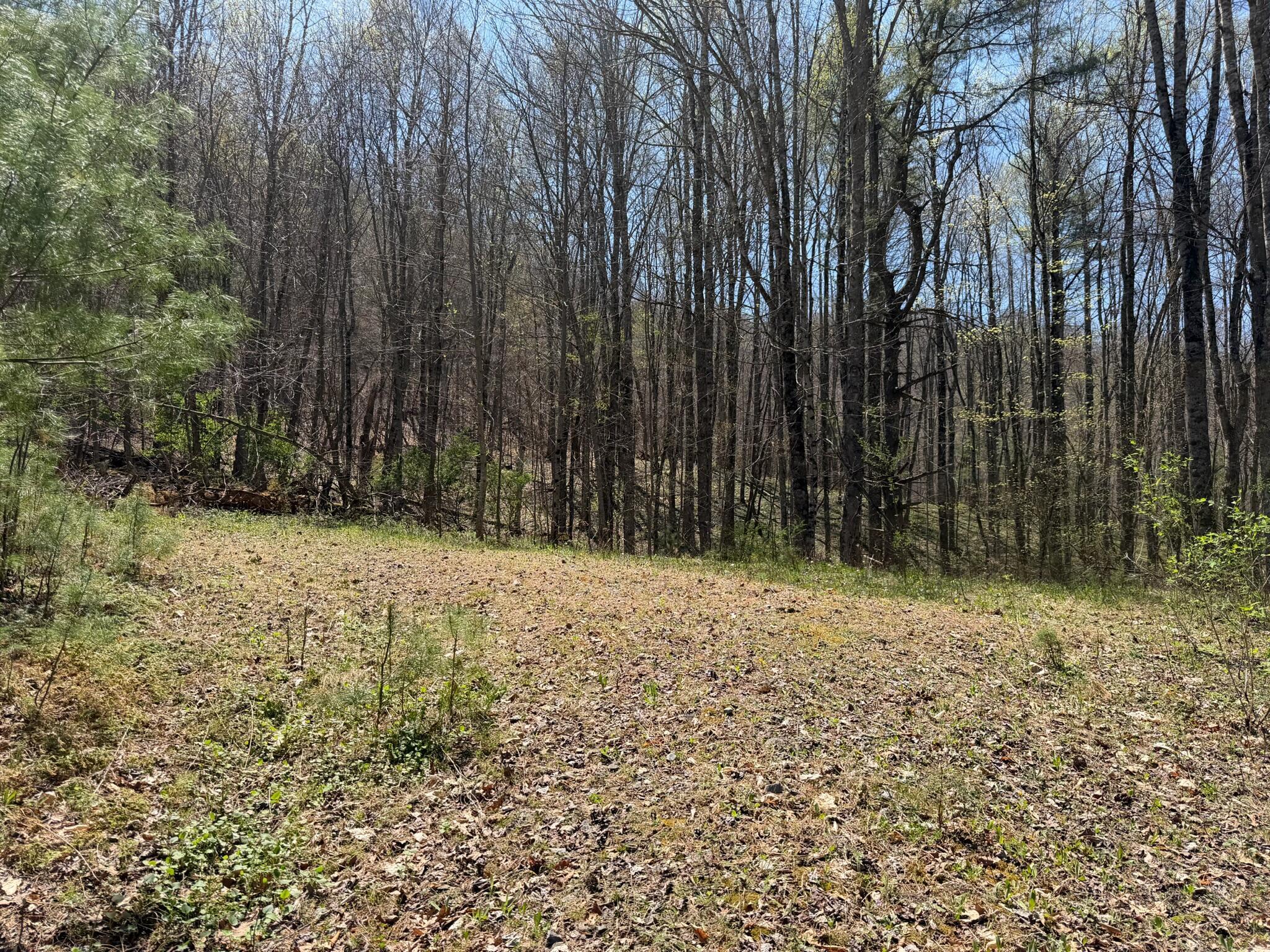 Image 1: Property