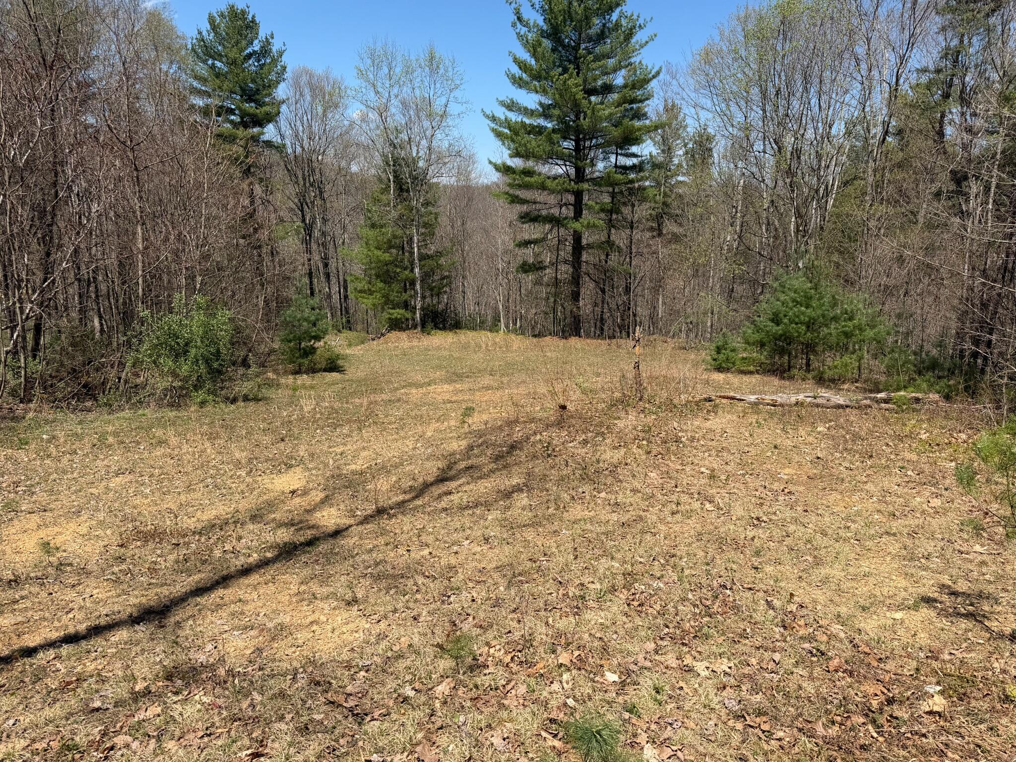 Image 2: Property