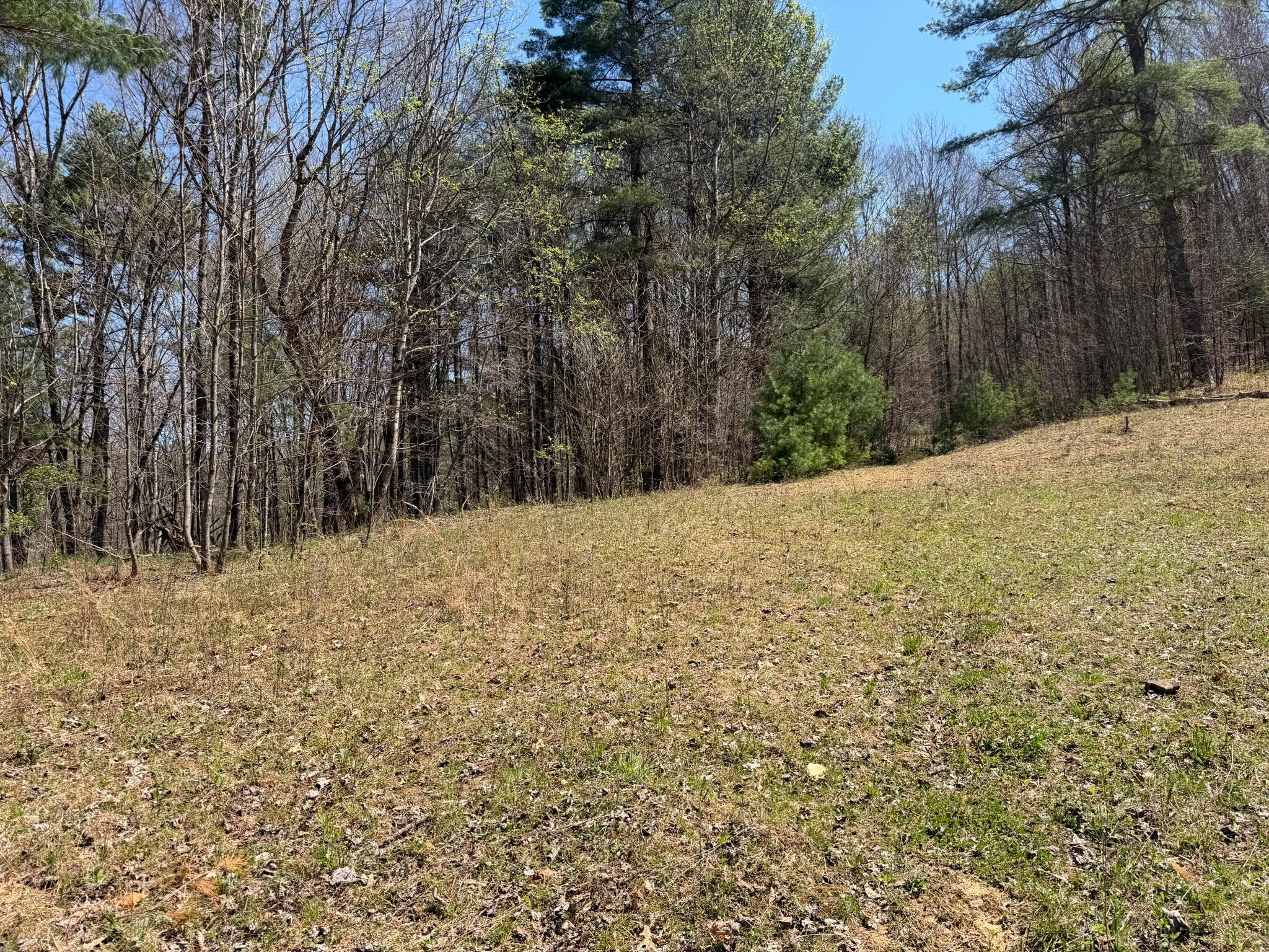Image 3: Property