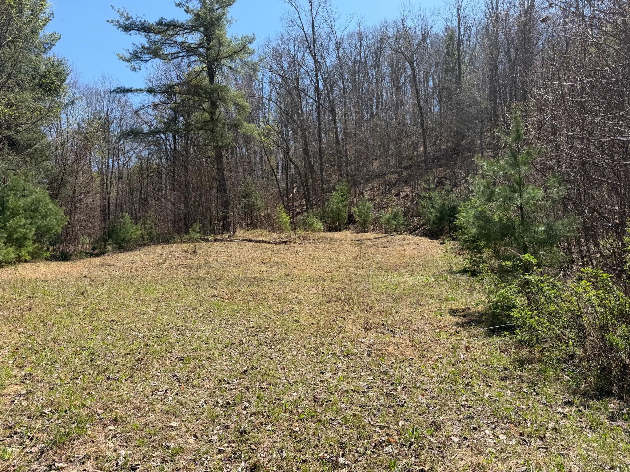 Image 4: Property