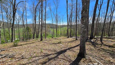 9021 Browns Creek Rd