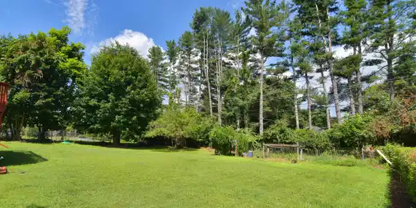 Image 4: ednacot (12)
