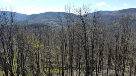 15 Hawthorne Ridge Rd Slatyfork Farm