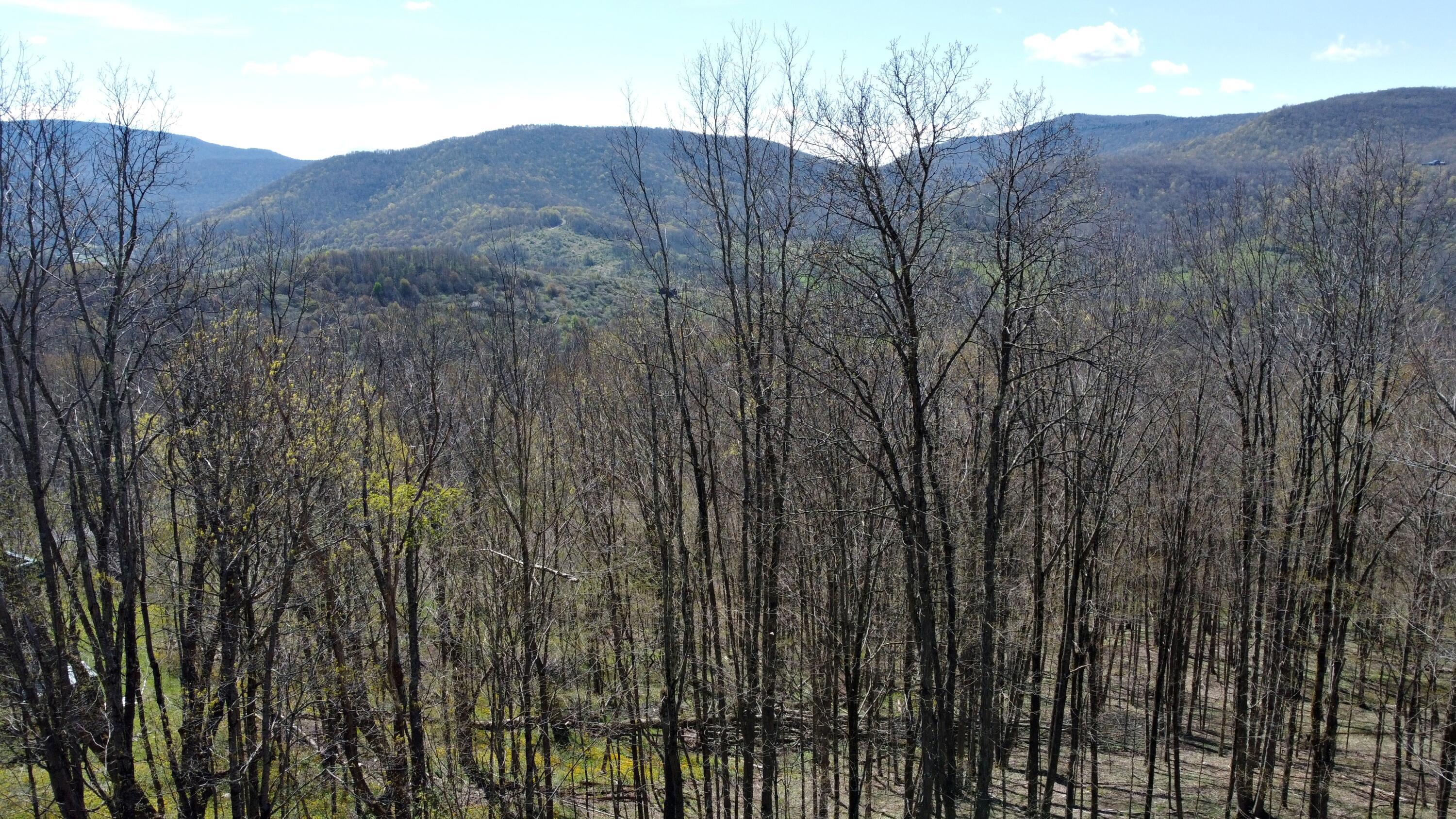 Image 1: Slatyfork Farm