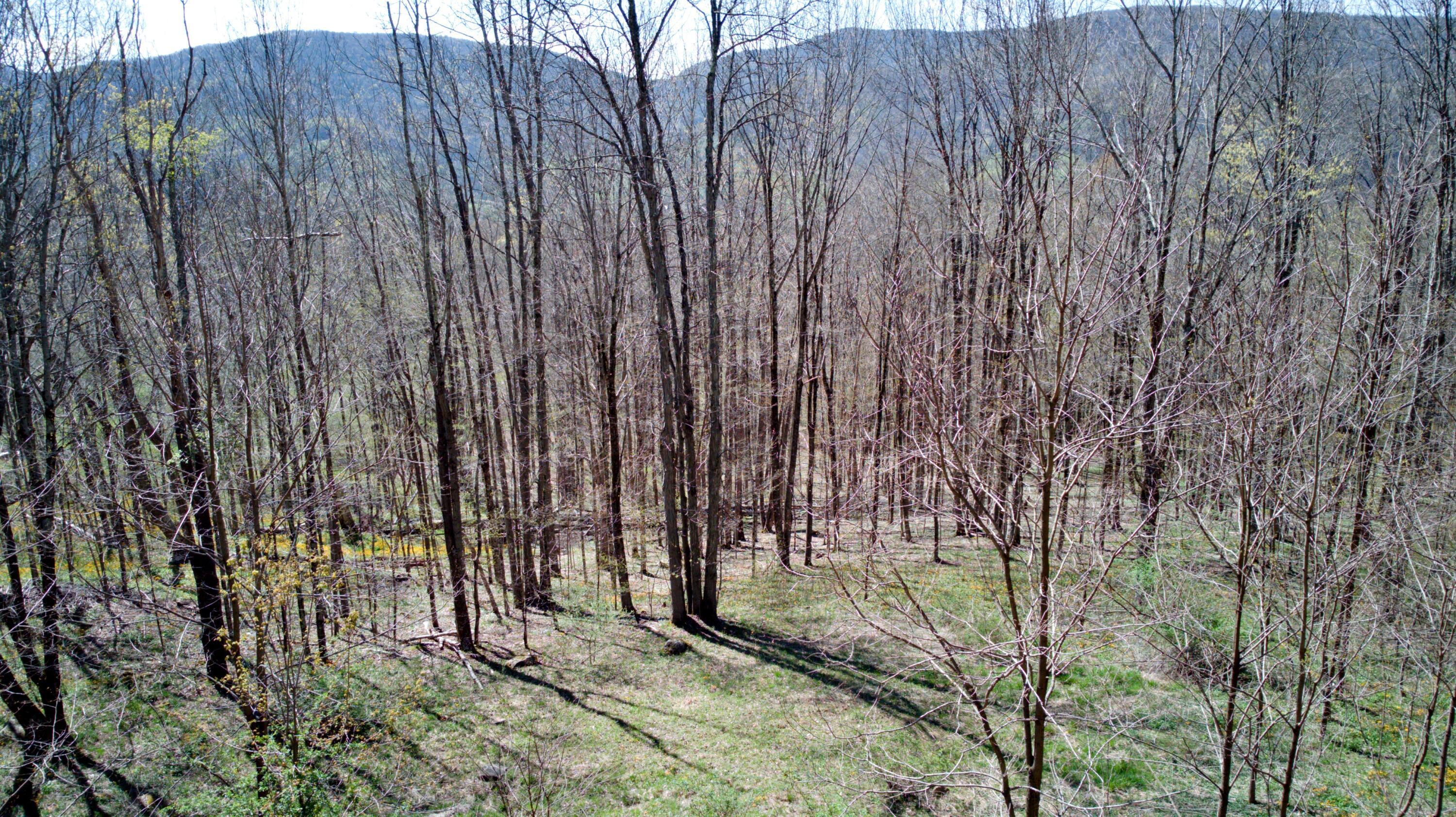 Image 2: building site