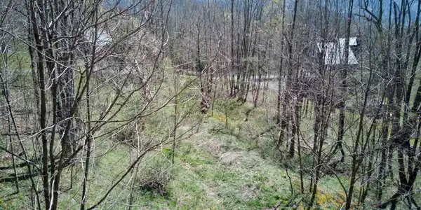 Image 3: diveway