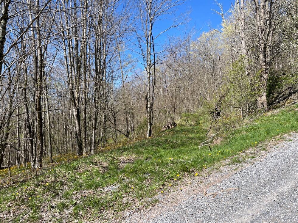 Image 4: driveway2