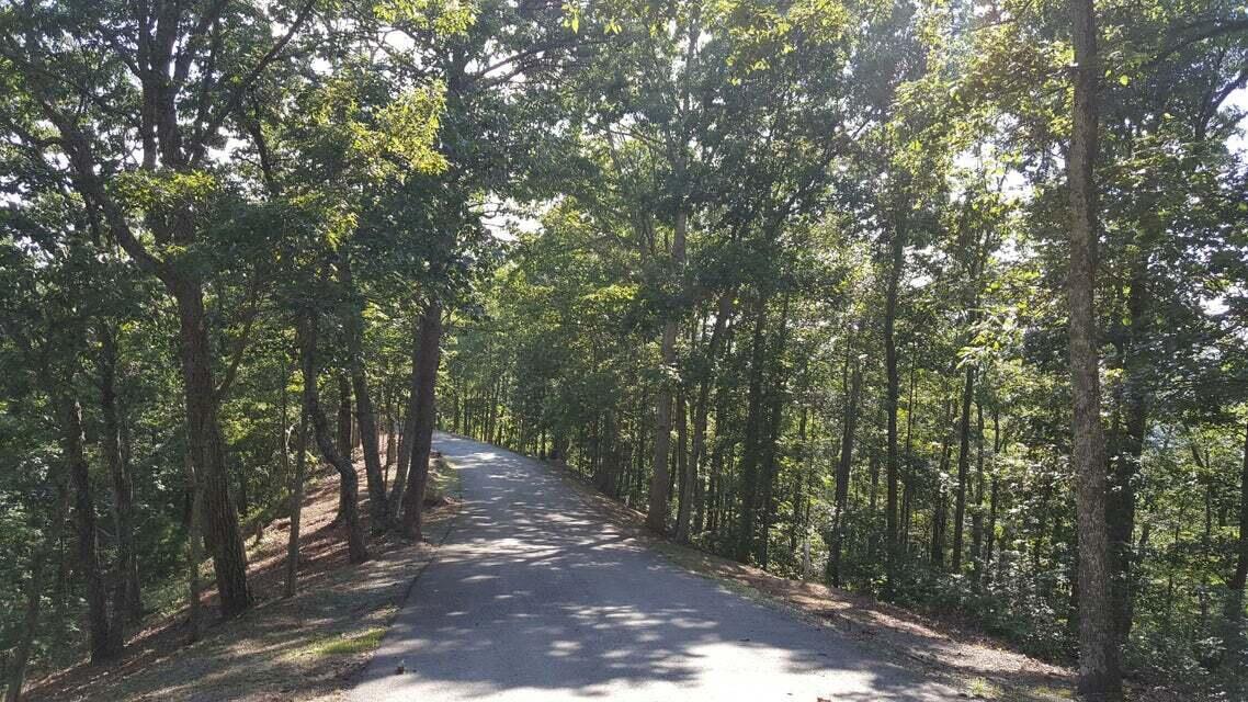 Image 3: Lot 23