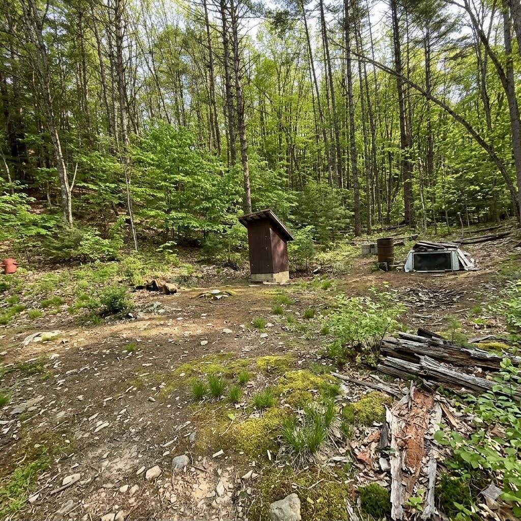 Image 3: g6