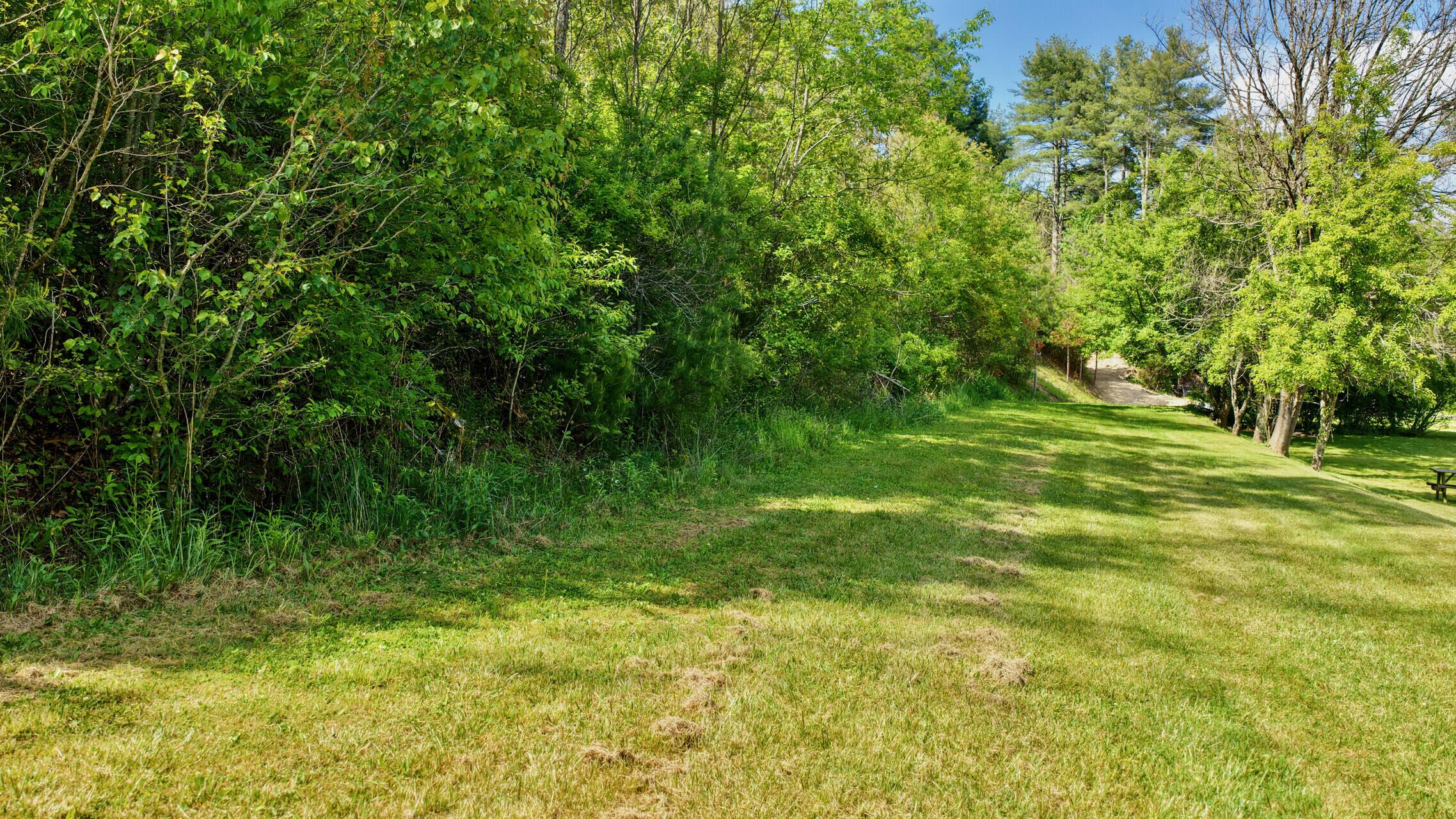 Image 3: 8891 Jones Mountain Rd (5)