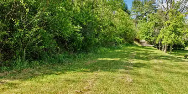 Image 3: 8891 Jones Mountain Rd (5)