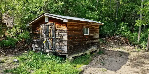 Image 4: 8891 Jones Mountain Rd (8)