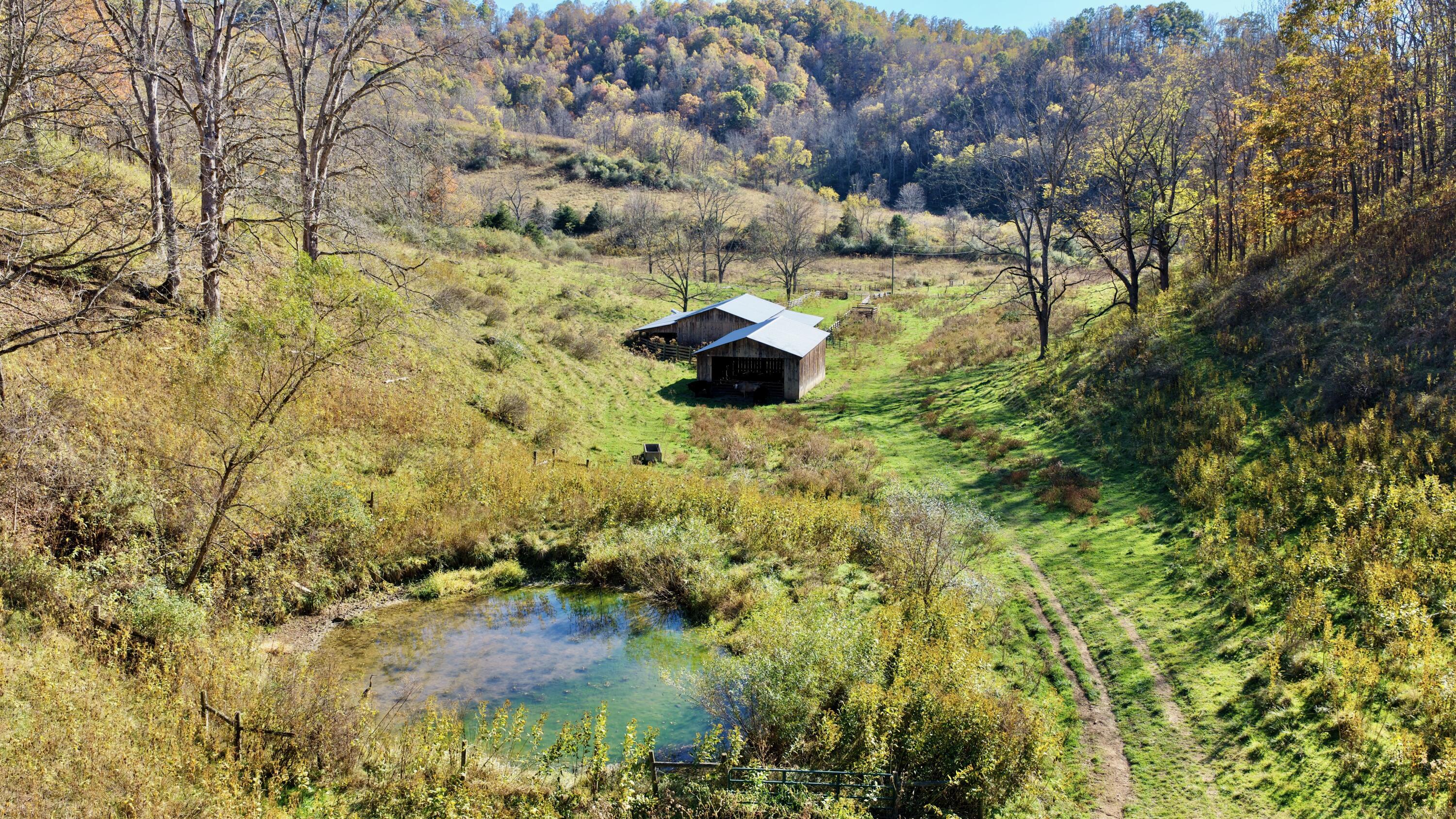 Image 3: Trout Run Road