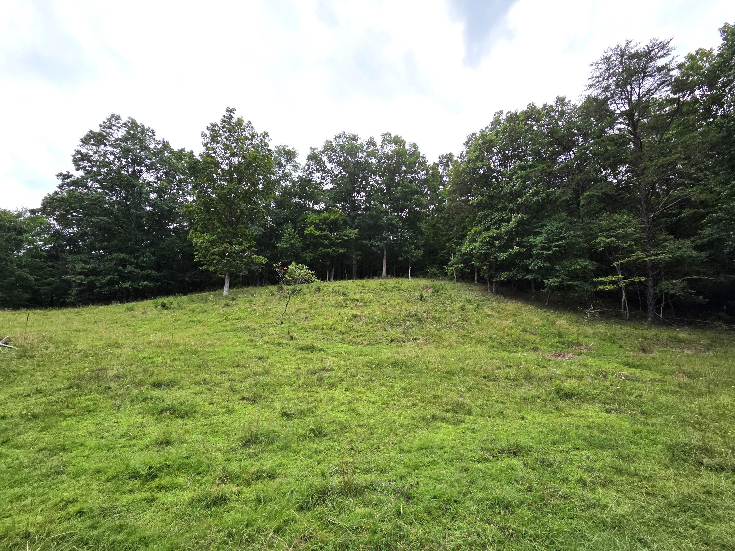 Image 3: 20250720_155929